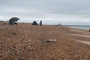 Picture taken looking East along the beach