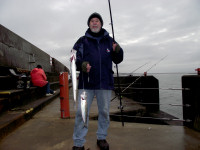 Picture of large herring