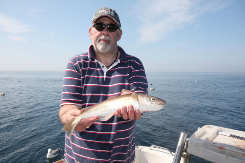 Whiting_5635133722_l